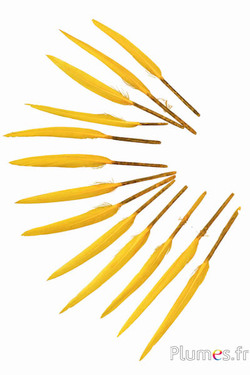 Gans - 5-8 cm - geel